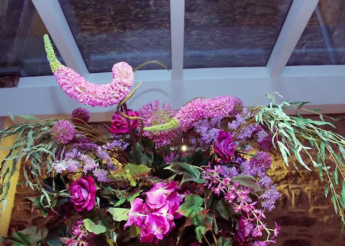 Montenegro Compostela Otel Santiago de Compostela